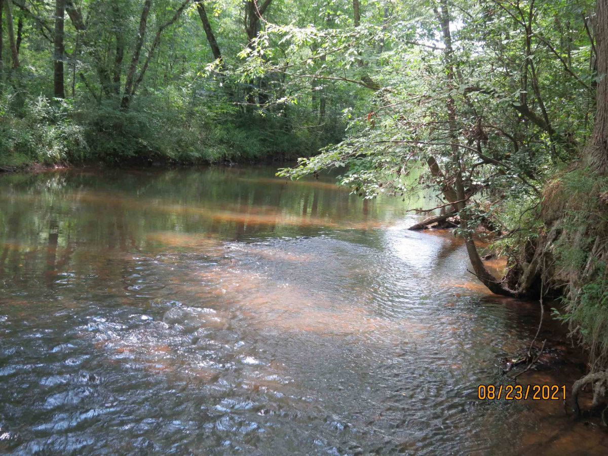 CyprusPartners's tweet photo. Beautiful Mature Timber &amp; A Creek - https://t.co/41OmNtfnir https://t.co/fCA9c9kaTf