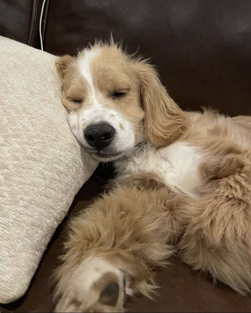 fav pics of the lil guy 🥰 also my dinner tonight!