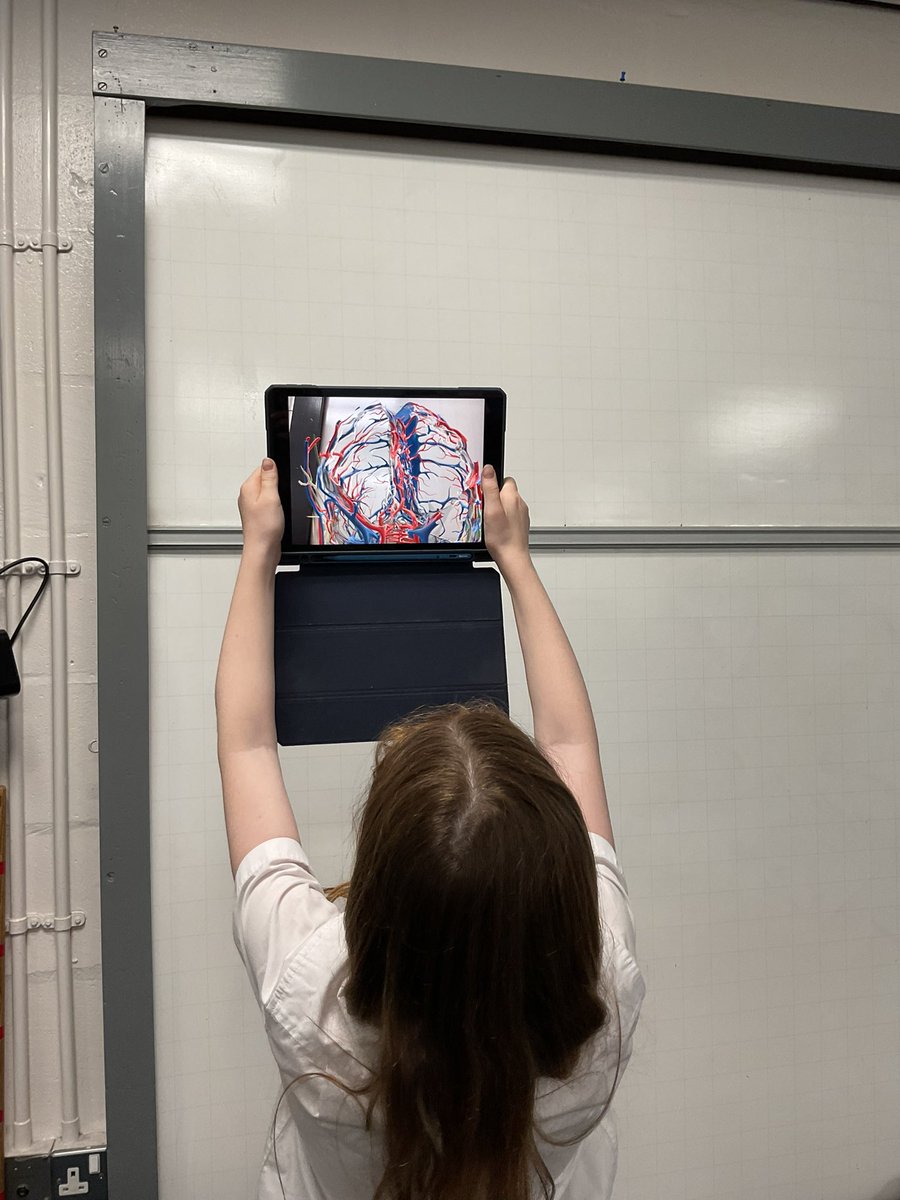 PDA_Y6's tweet image. We loved developing our learning about the heart by delving deeper…. inside it using an AR heart app! We could see the heart beat and all the arteries and veins connecting our incredible circulatory system! #pdascience