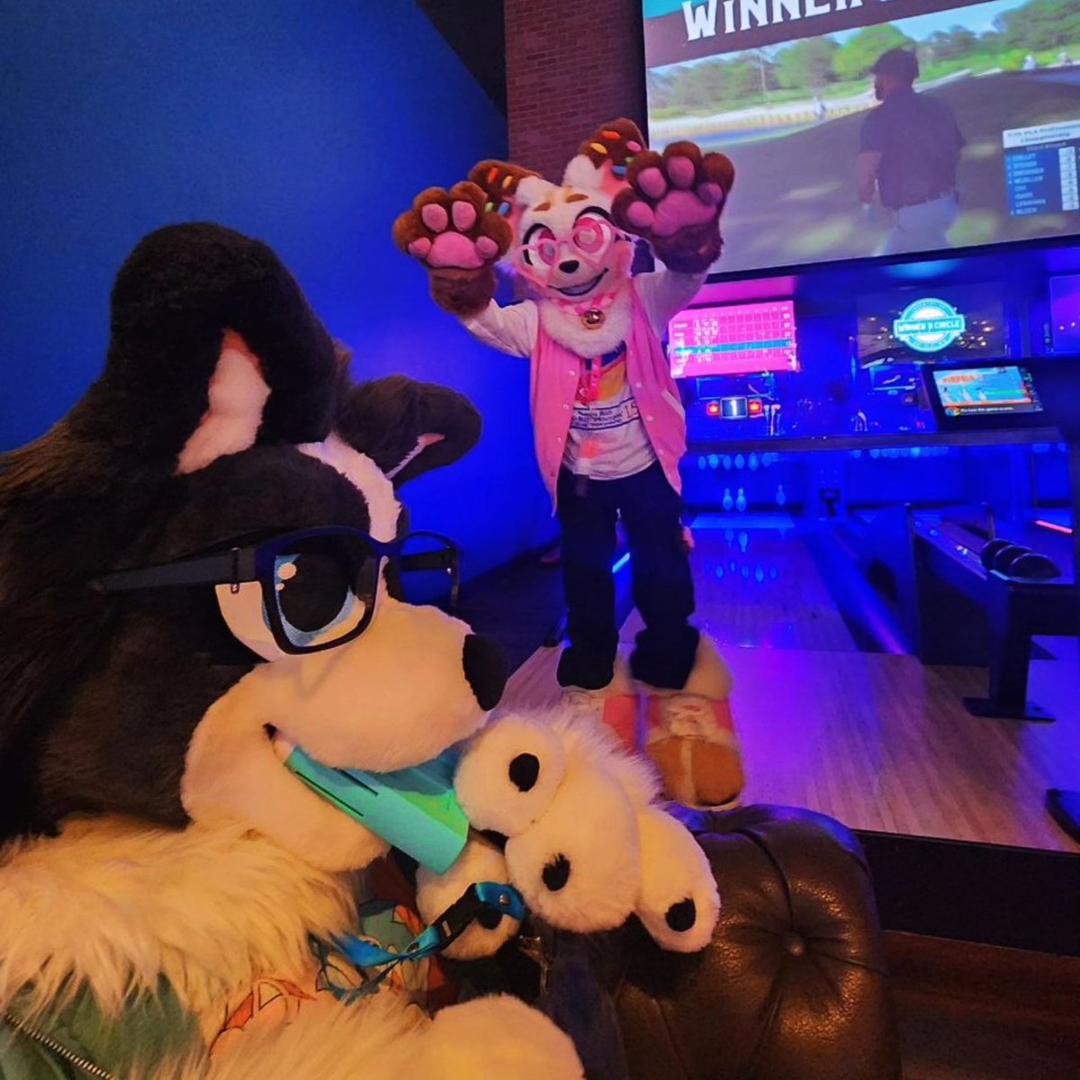 foxopfurs's tweet image. arcade photos with friends!
๐ธ - @NibbleNewt
#furry #fursuit #sweettart #furryfandom #fursuiter