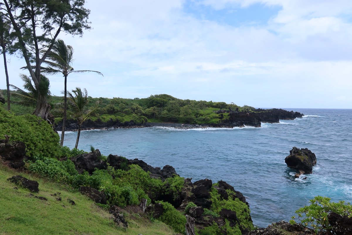 ChubbyMonkey_22's tweet photo. Missing Hawaii 🌺 https://t.co/O7y3qftMMn