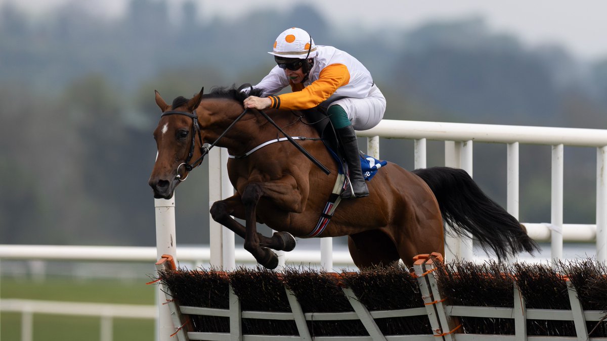 IREthoroughbred's tweet photo. COTTESLOE SUNSHINE (IRE) bounds to Listed @CloseBrothers @IrishEBF_ Mares Nov Hurdle @punchestownrace for Orla &amp; Nicholas Fahy, trained @JosephOBrien2 with JJ Slevin up... sired by Getaway @coolmorestud NH Grange, sold @Goffs1866 from breeders @KilmoneyS 🇮🇪🎯 https://t.co/us3zR74oH0