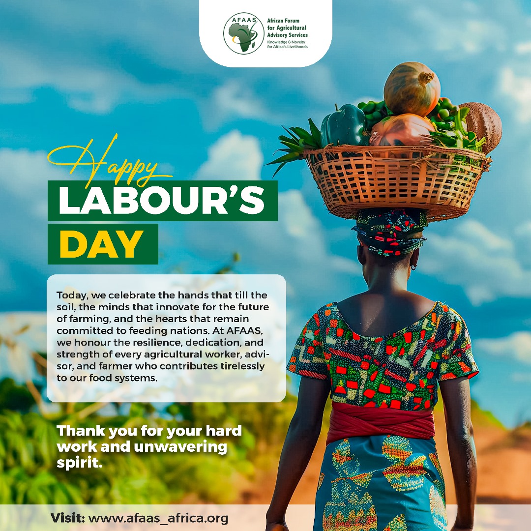African Forum For Agricultural Advisory Services. (@afaasinfo) on Twitter photo Africa Extension thrives through hardships to deliver effective Extension Advisory Services . Today,We celebrate the farmers & Extension Service providers who continue to labour so hard towards the #Africawewant. Happy Labour Day.<a href="/IFAD/">International Fund for Agricultural Development</a> <a href="/AGRA_Africa/">AGRA - Sustainably Growing Africa’s Food Systems.</a> <a href="/EU_Commission/">European Commission</a> <a href="/EUAgri/">EU Agriculture🌱</a> <a href="/FAO/">Food and Agriculture Organization</a> Africa Extension thrives through hardships to deliver effective Extension Advisory Services . Today,We celebrate the farmers & Extension Service providers who continue to labour so hard towards the #Africawewant. Happy Labour Day.<a href="/IFAD/">International Fund for Agricultural Development</a> <a href="/AGRA_Africa/">AGRA - Sustainably Growing Africa’s Food Systems.</a> <a href="/EU_Commission/">European Commission</a> <a href="/EUAgri/">EU Agriculture🌱</a> <a href="/FAO/">Food and Agriculture Organization</a>