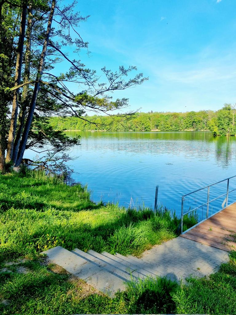 Und hiermit ist die Freiwasserschwimm-Saison 2025 für mich eröffnet: Heute stand bei 18 Grad Wassertemperatur im Schwarzen See in Falkenhagen Anbaden auf dem Programm. #Sommerglück