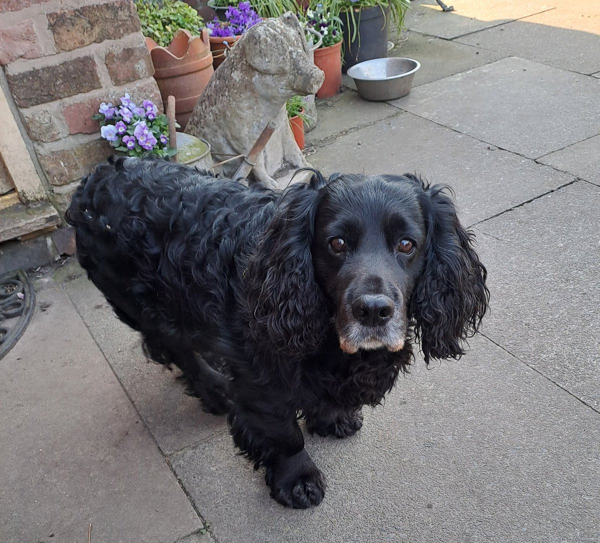 antrojak's tweet image. Ok so we  had walk and had tea wot we gonna do now ? #neverstops