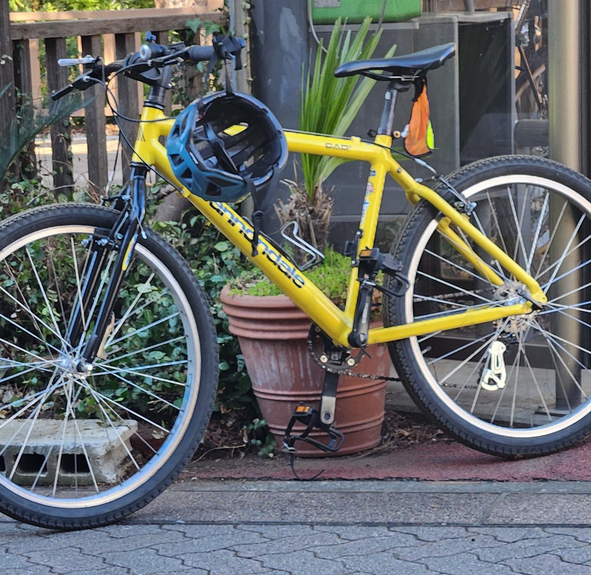 自転車用くま2個目 (@jiten_kinoko2) / Posts / X