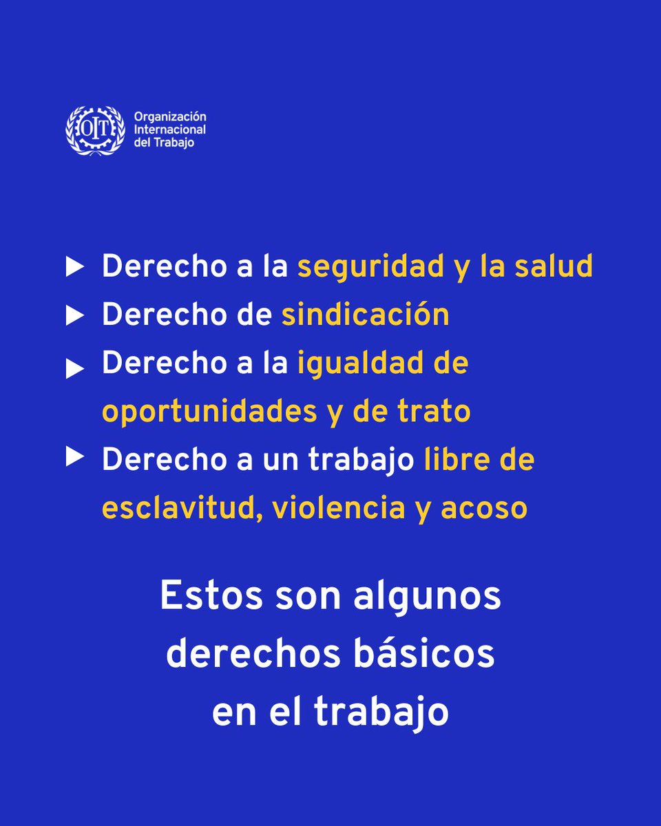 Naciones Unidas tweet media