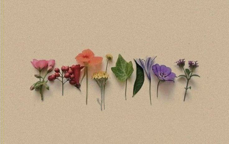 Kelamkalesi's tweet photo. “İnce isen, ince ince kırarlar seni. Hoyrat isen, el üstünde tutarlar seni.” https://t.co/UddQgoG3yy