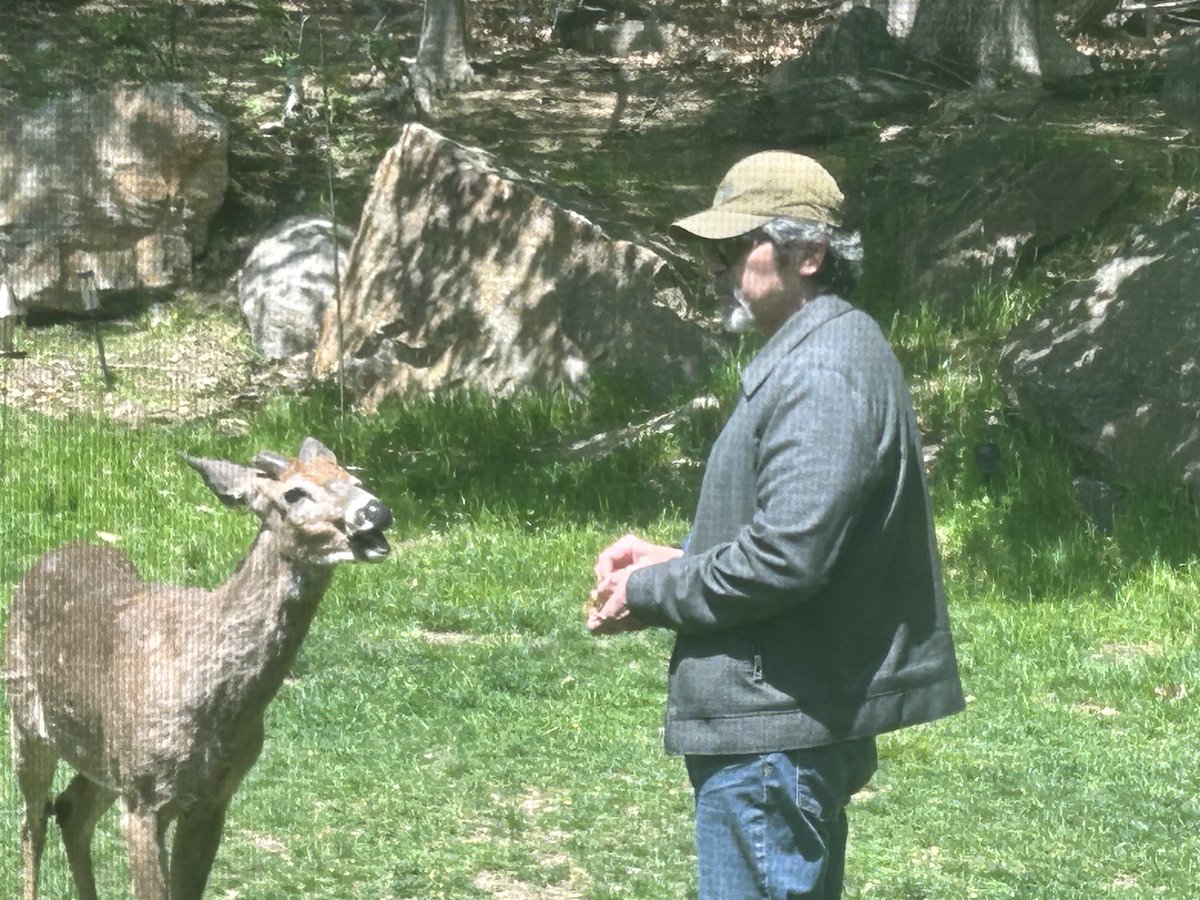 Lou Diamond Phillips tweet media