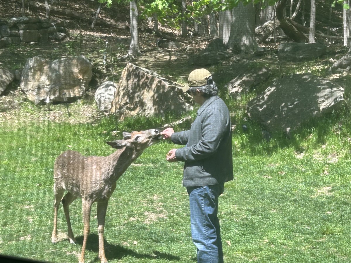 Lou Diamond Phillips tweet media