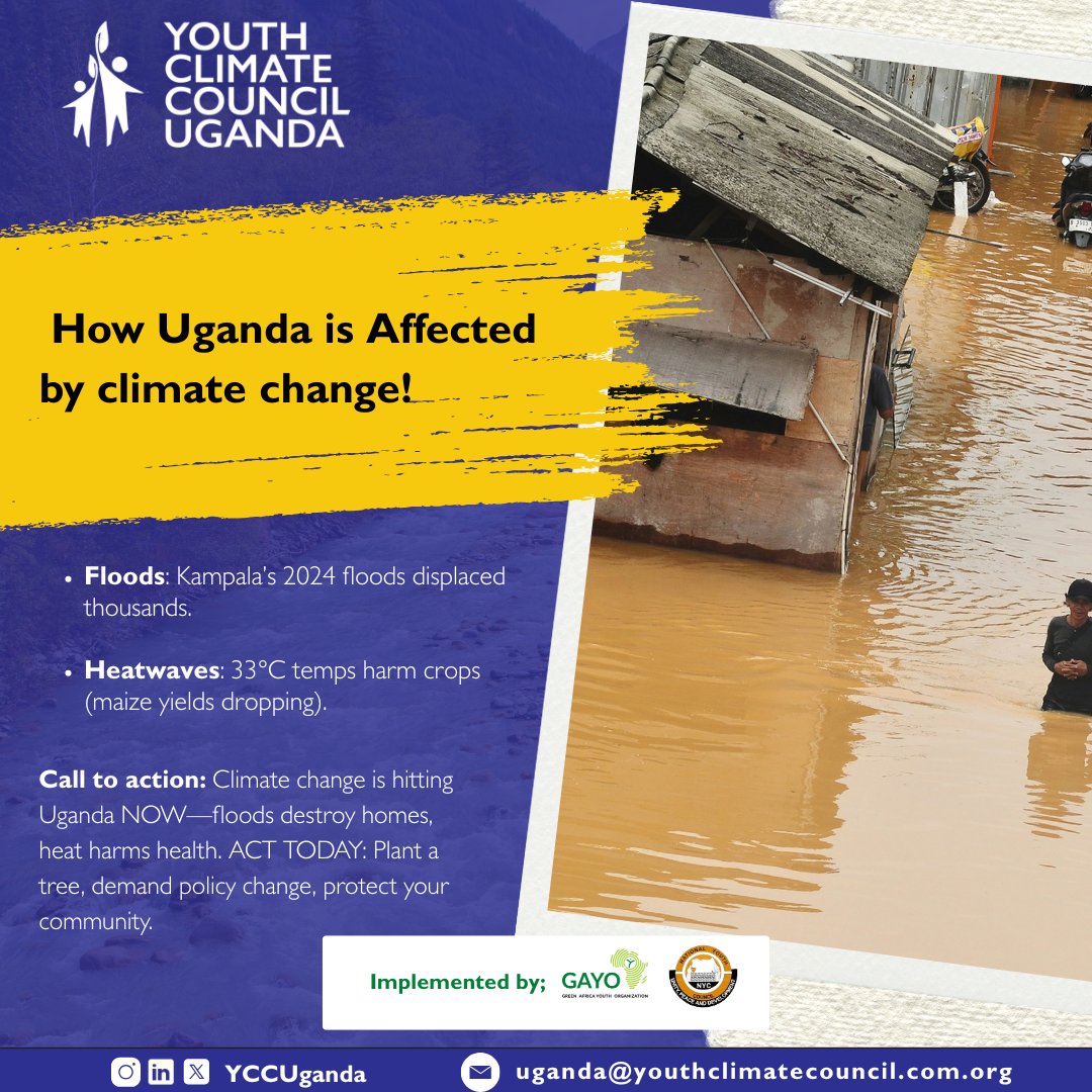 YCCUganda's tweet photo. See it? That’s #ClimateChange hitting homes.
Kampala’s 2024 floods – thousands displaced
33°C heatwaves – maize crops dying
#KnowClimate means:
🌱 Plant resilience
📢 Demand policy #action
🛡️ Protect your community https://t.co/gM0Uf7D9dv