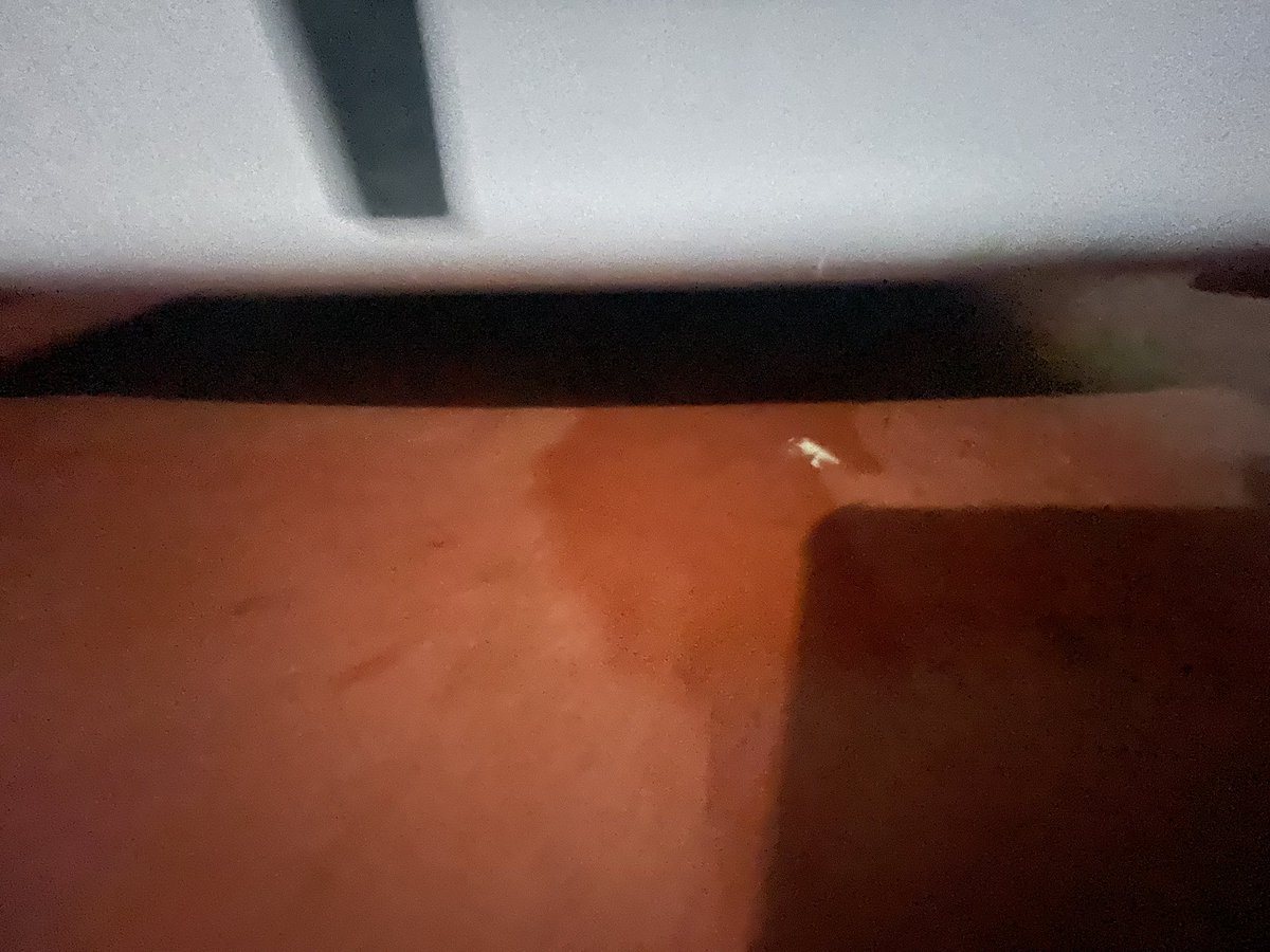 aruna_joe's tweet photo. @flipkartsupport Small leakage somewhere  can’t find it and doesn’t cool at all https://t.co/uv4L0oUofh