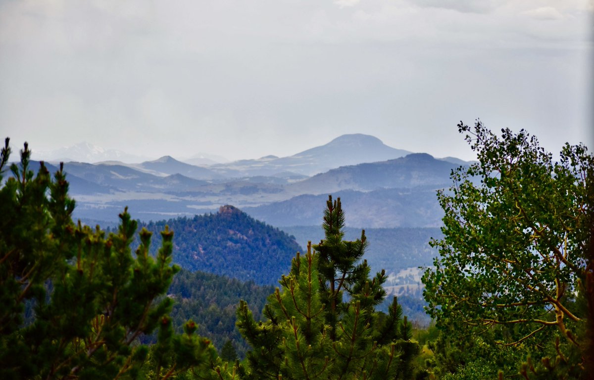 View from the Cabin🌲