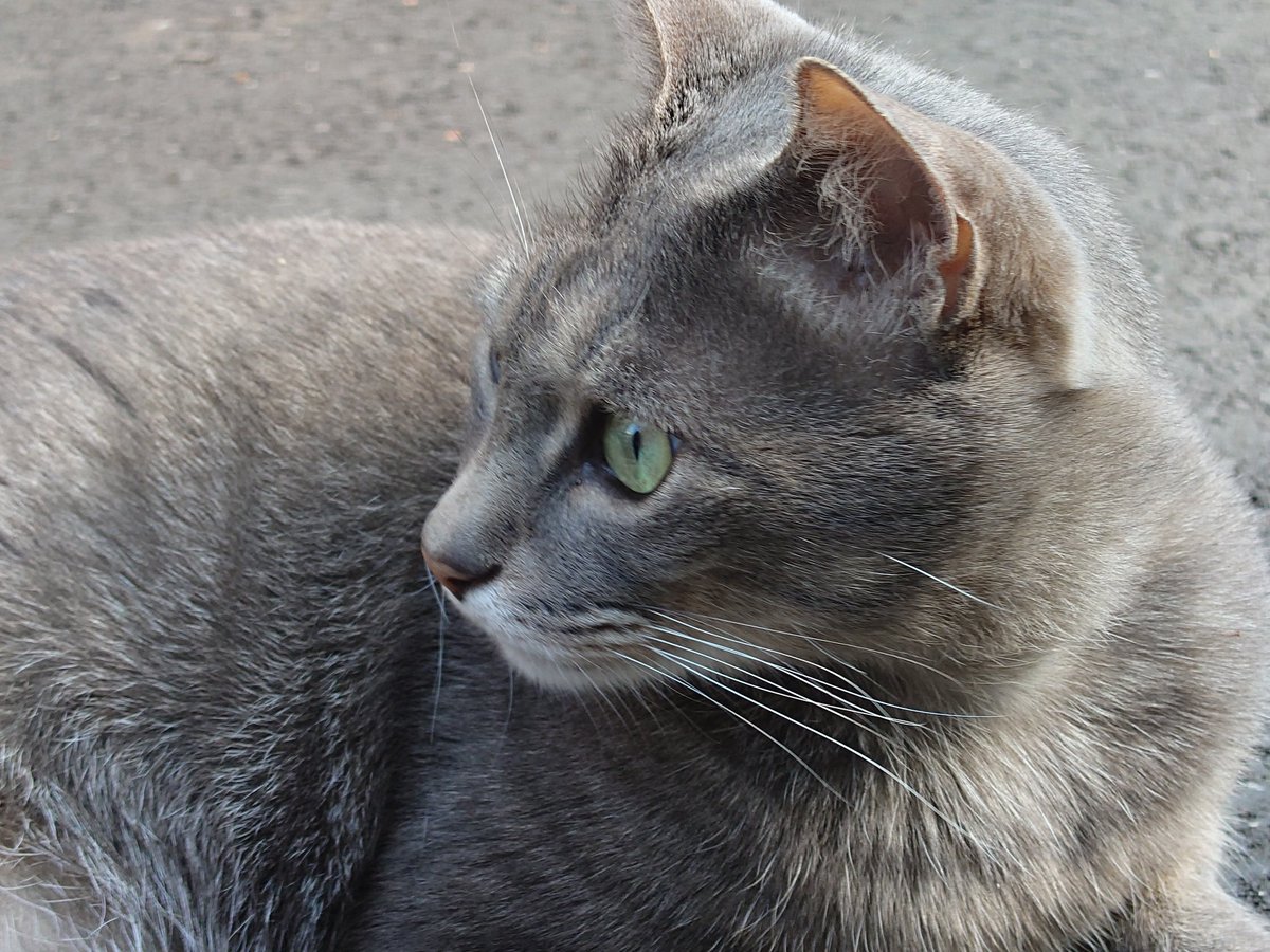 風待 凪 tweet media