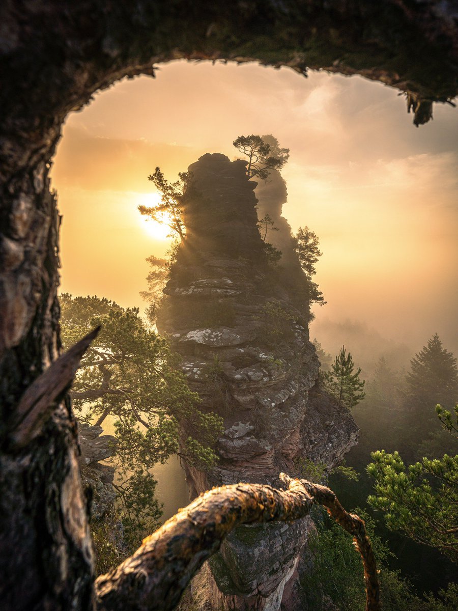 CedricSchell's tweet image. Levers de soleil brumeux 🥰