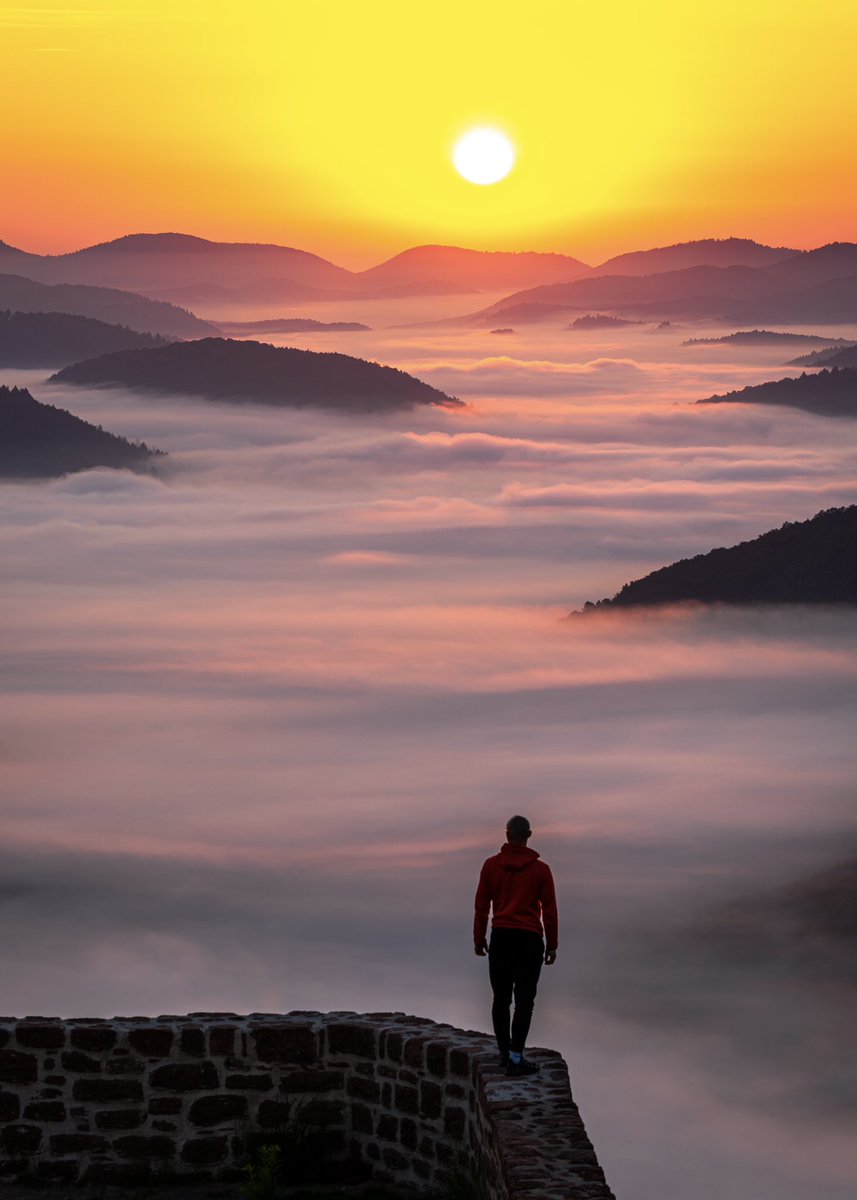 CedricSchell's tweet image. Levers de soleil brumeux 🥰