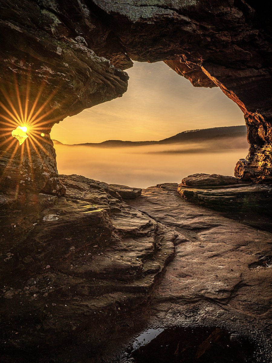 CedricSchell's tweet image. Levers de soleil brumeux 🥰