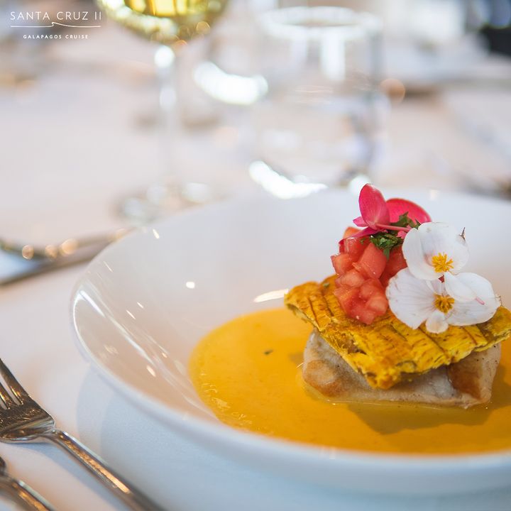⭐🚢Santa Cruz II Galapagos Cruise Highlights: Exquisite Cuisine.

🍽️Locally-sourced organic food, a Le Cordon Bleu–trained Gastronomy Director curates a wide variety of culinary options to accommodate all diets during your Galapagos vacation.

#santacruzcruise#galapagos#ecuador