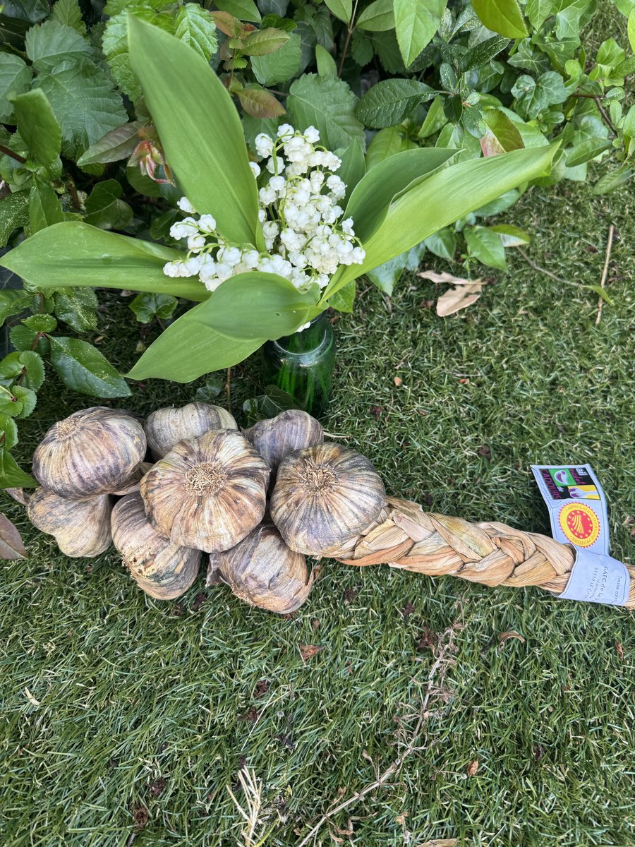 Nous espérons que vous avez passé un bon 1er mai…
Avec ces quelques brins de muguet nous vous souhaitons beaucoup de bonheur !!!

#muguet #1ermai #ailvioletdecadours #cadours #ajo #garlic #ail #bonheur