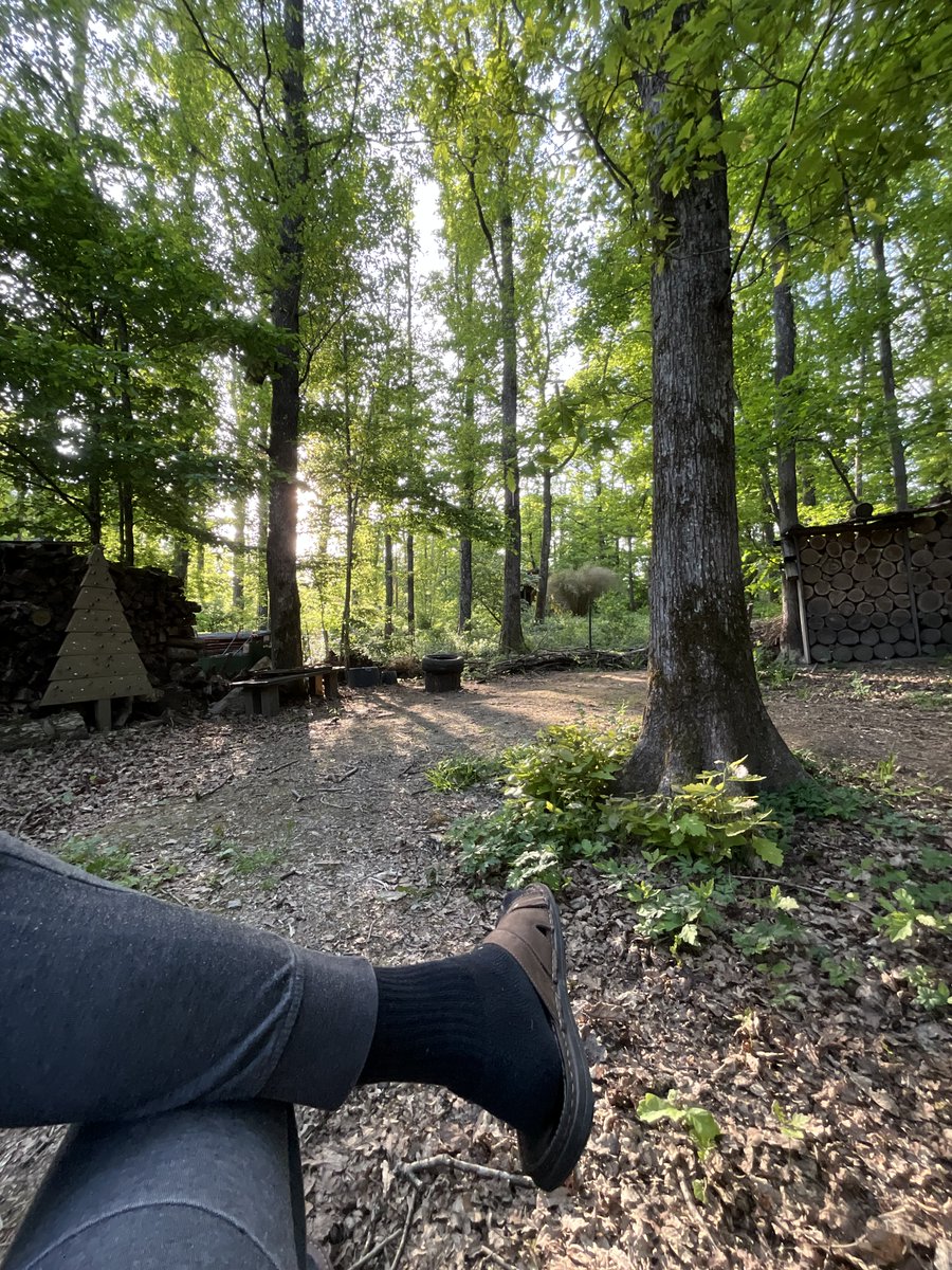 Tranquille, dans mon jardin… le meilleur moment de ma vie 😁