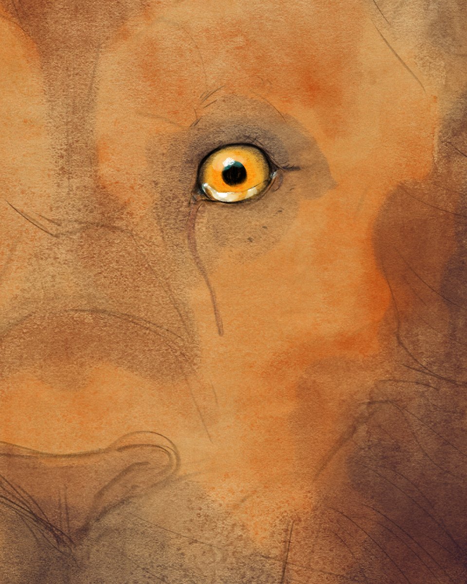 Day 9 of <a href="/NarniaWeb/">NarniaWeb</a>'s #WeLoveNarnia: Favourite Aslan Moment

I decided to pick the moment when Digory looks up at Aslan and sees tears in the lion's eyes.

#WeLoveNarnia #TheMagiciansNephew #Narnia #FanArt #NarniaFanArt #Aslan
