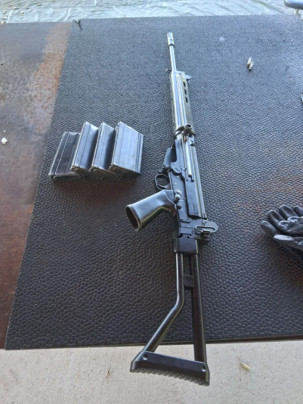 Gun