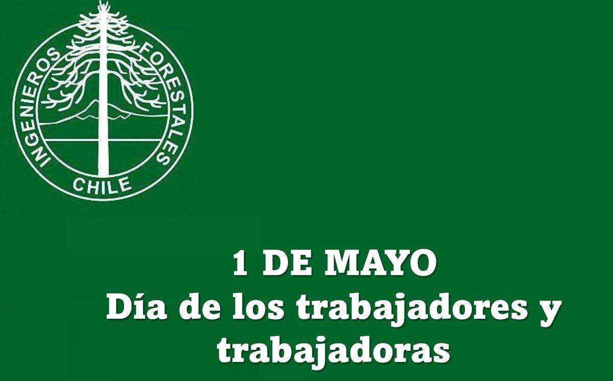 Un afectuoso saludo a todos los trabajadores y trabajadoras de Chile en su día, especialmente a quienes trabajan en la actividad forestal, protegiendo nuestros bosques y creando valor a partir de nuestra riqueza forestal.