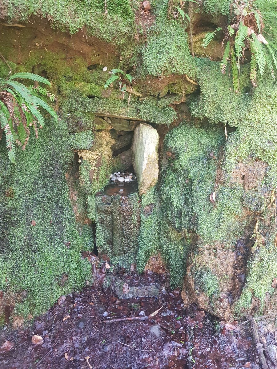 Isabel Mathias tweet media