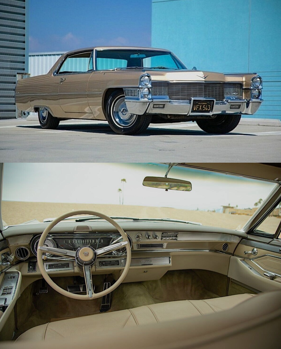 nelmagene2010's tweet image. 1965 Cadillac DEVILLE

Glory or Garbage?