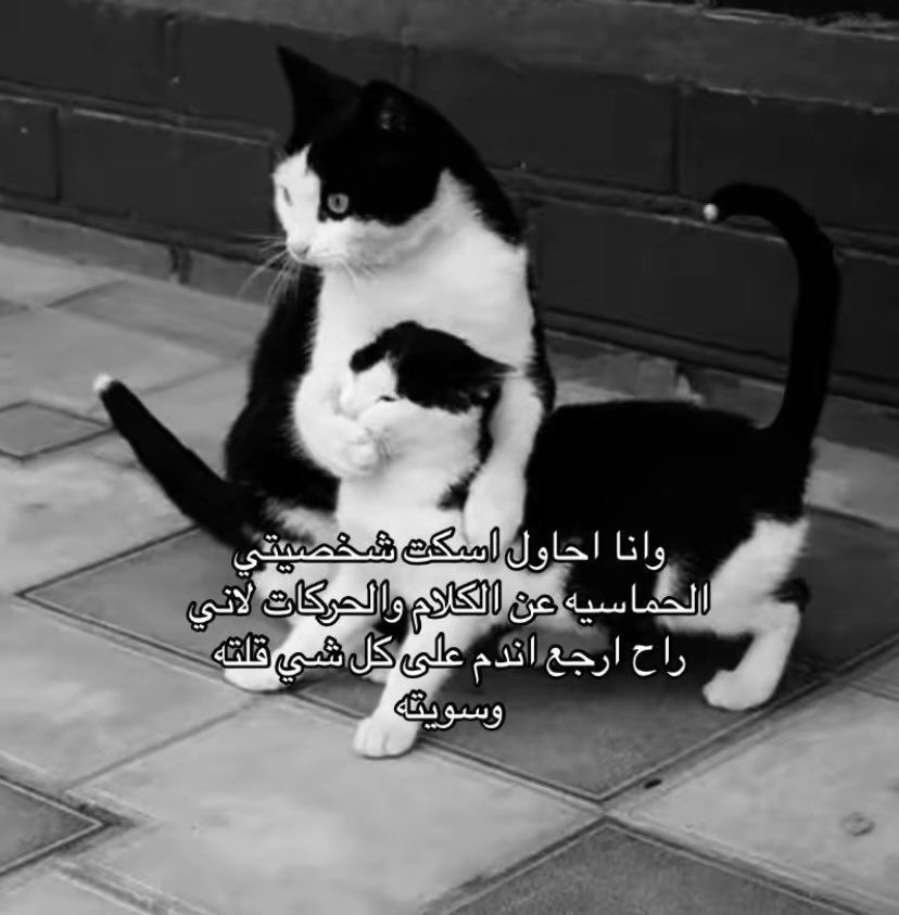‏أي حاجة | كود نايس ون AH88 (@toonzatt) on Twitter photo 