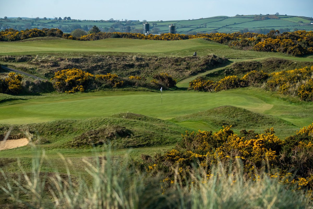 No Laying Up tweet media