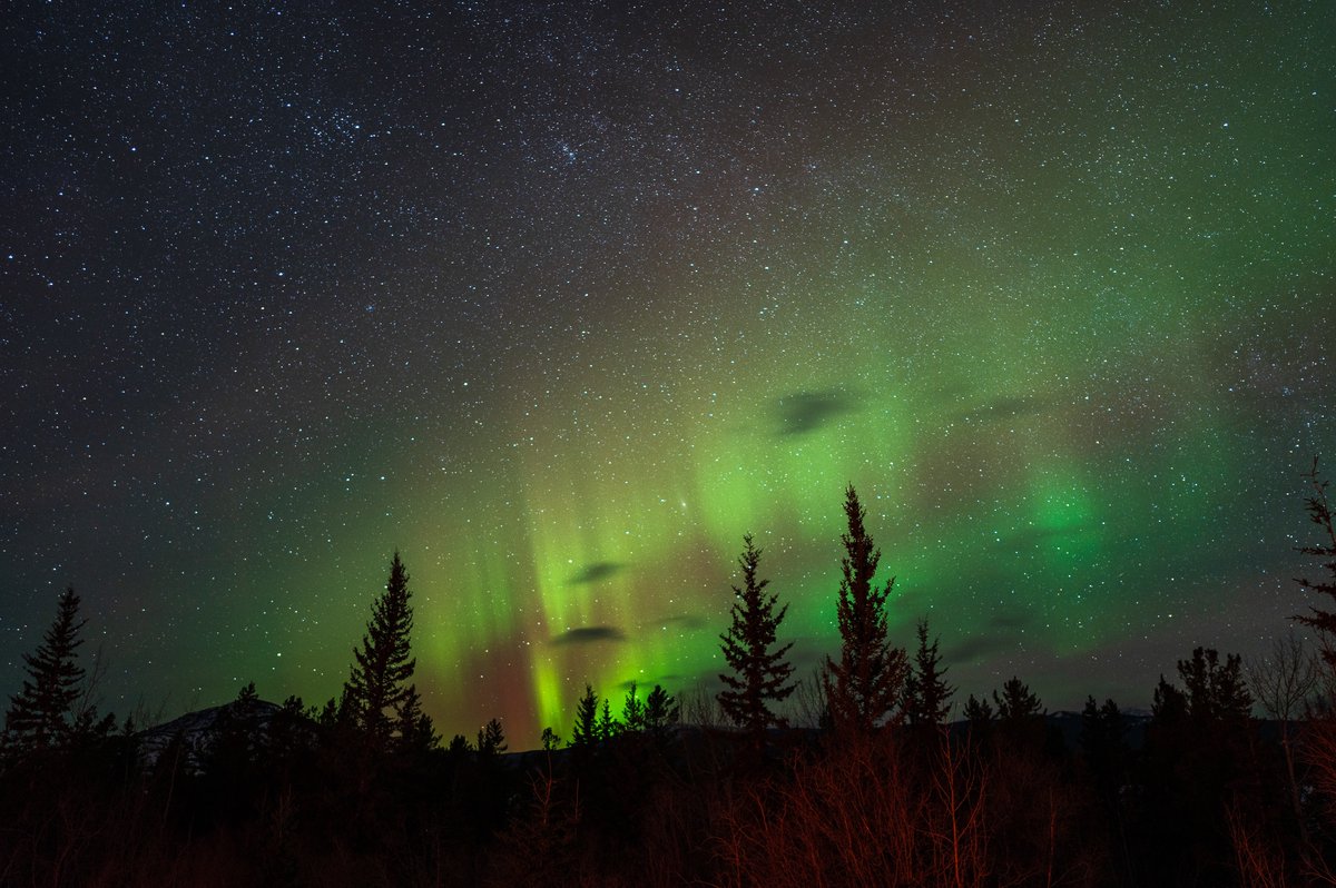 BellFinancial96's tweet image. Travel to the north to discover the wonders! In this issued of Possibilities.

Read it here
static.twentyoverten.com/5b61dc3699e22e…