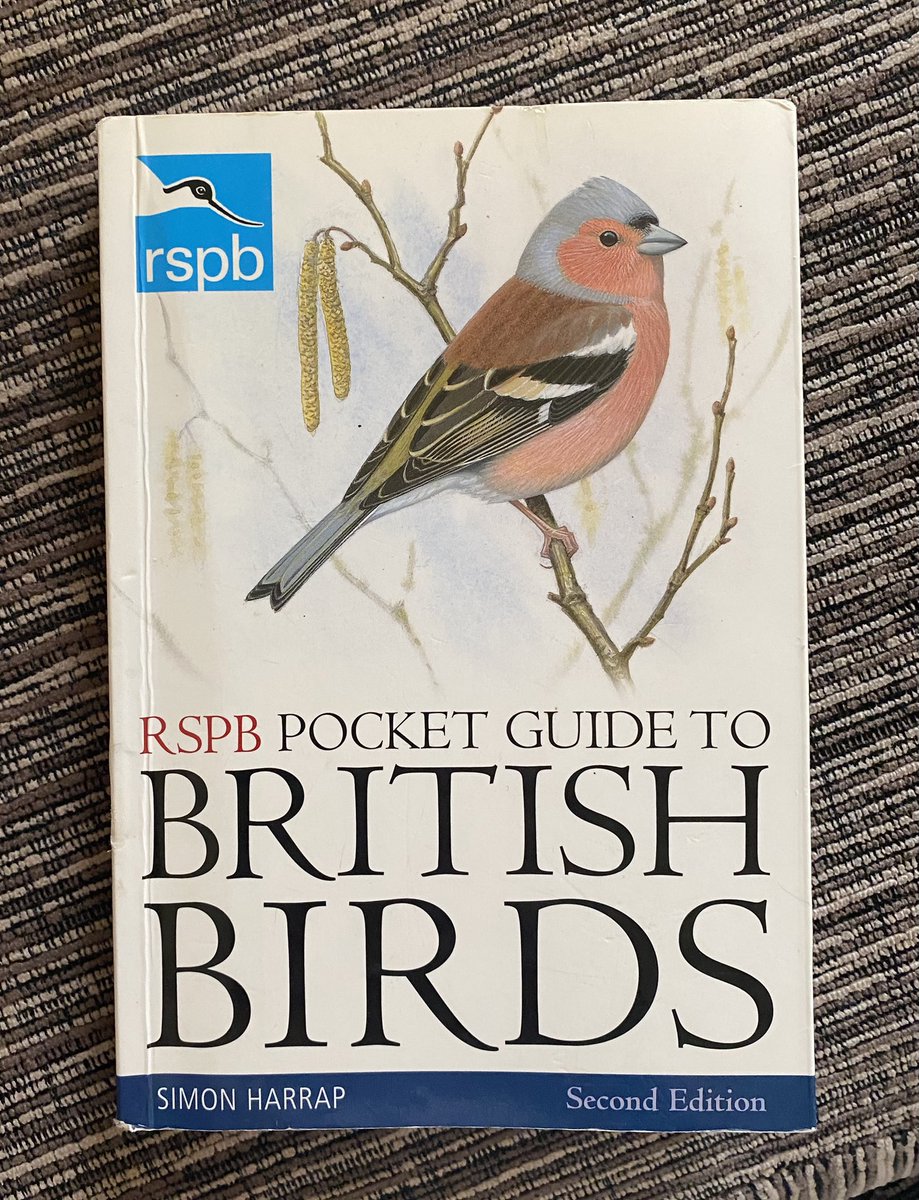 I’m now this old 🧐