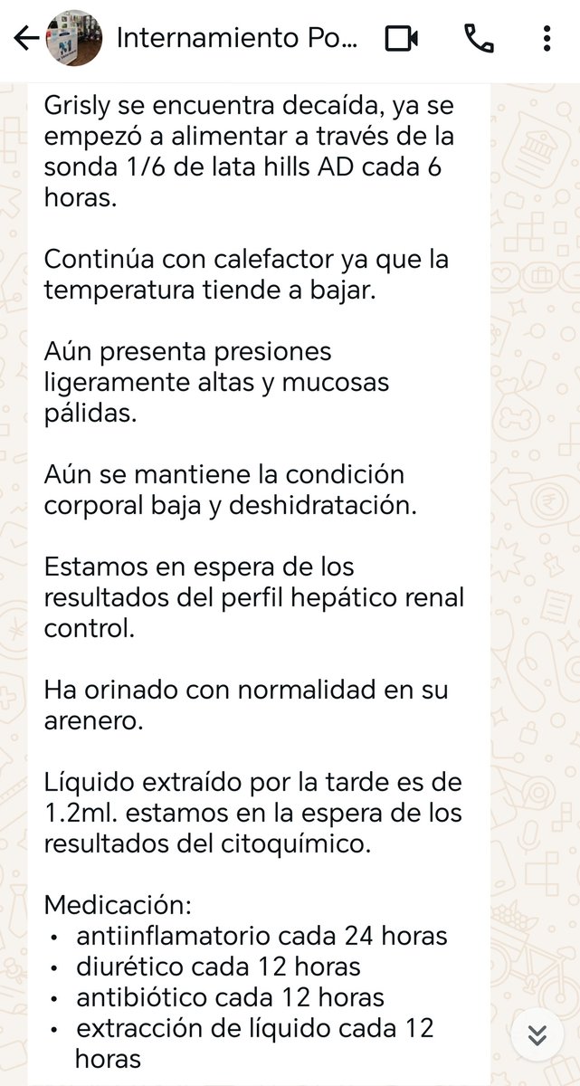 _arlettesalazar's tweet photo. NADIE MÁS AYUDÓ A #GRISLY 💔
Ella sigue luchando, su pronóstico es reservado, está con sonda Sigue drenando líquido del torax😭 por favor la deuda de s/1,104🙏🏼 solo tenemos 50
Yape/plin 934962128 Jaquelyn #RT
🟠BCP: 19204507085009
CCI 00219210450708500938 https://t.co/Sctr1ebgE1 https://t.co/ny9raeJzQN