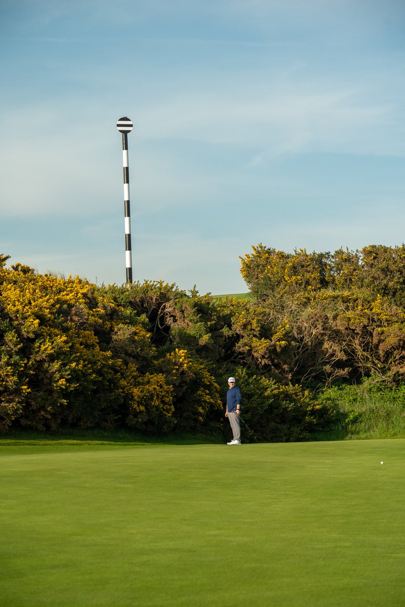 No Laying Up tweet media