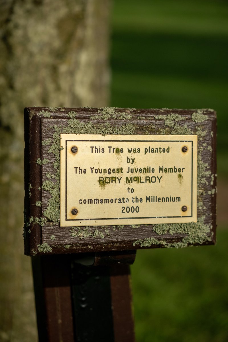 No Laying Up tweet media