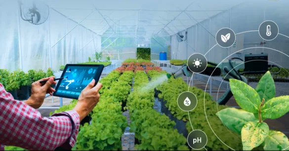 Agritech_Digest's tweet photo. Can AI detect plant diseases before they spread?
Bangladesh says yes—leading innovation with an AI-powered model that spots early symptoms using just images.
Less crop loss. Faster action. Smarter farming.
Curious how it works?
Read more: https://t.co/ZdO5kwuLwf
#AgriTech #AgAI https://t.co/9Z7UOcJQ7F