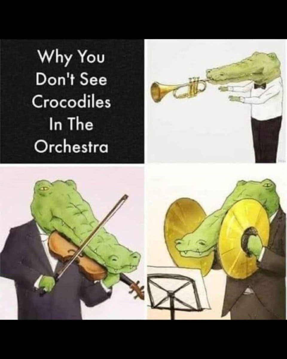 Sayeh (@sayehstone) on Twitter photo 