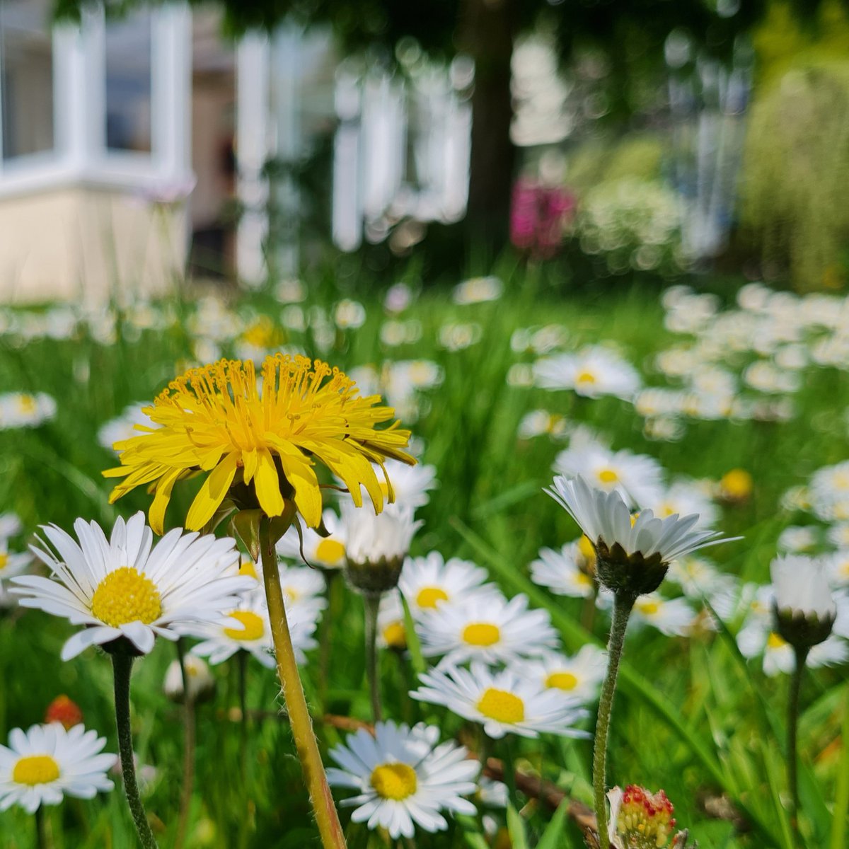 Plantlife tweet media