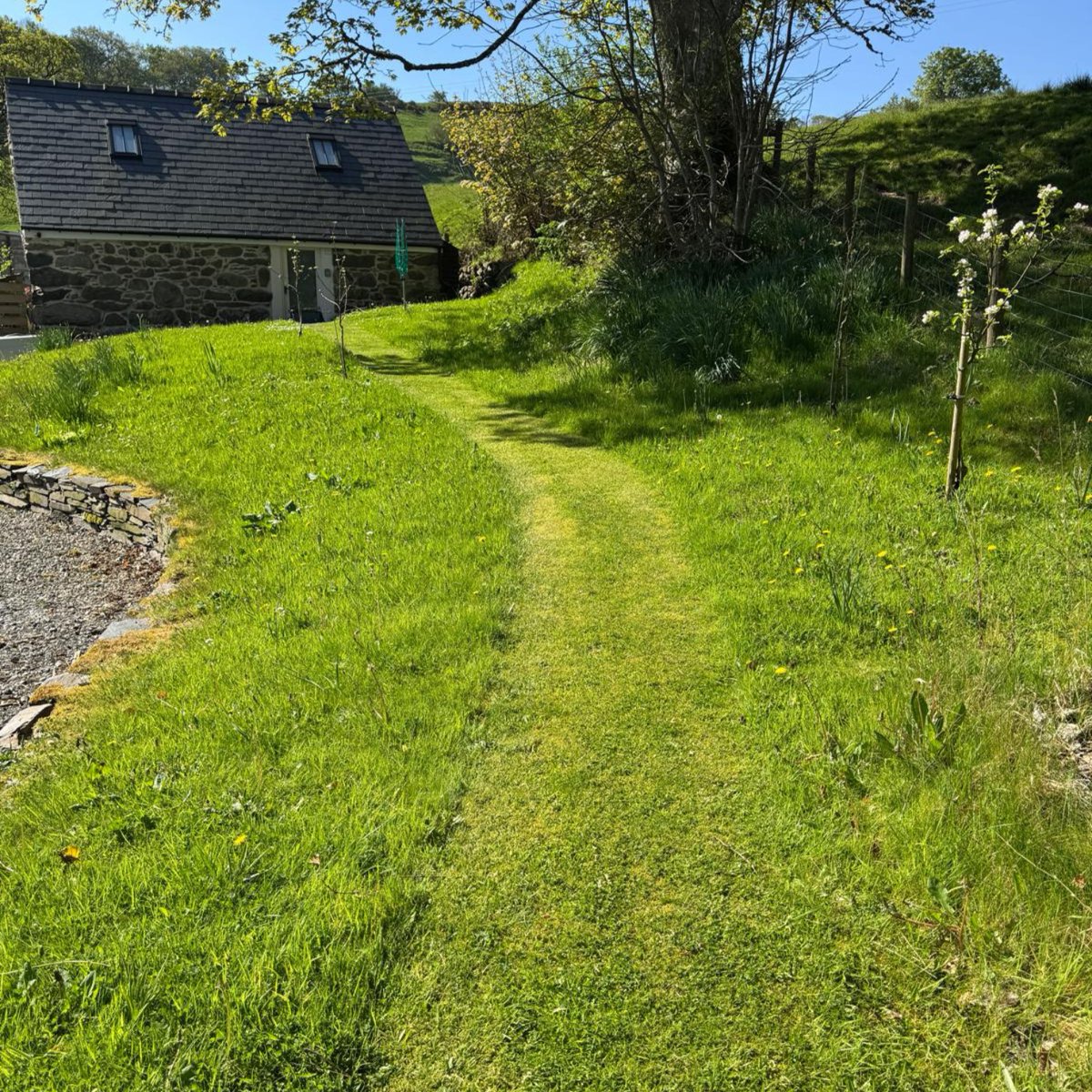 Plantlife tweet media