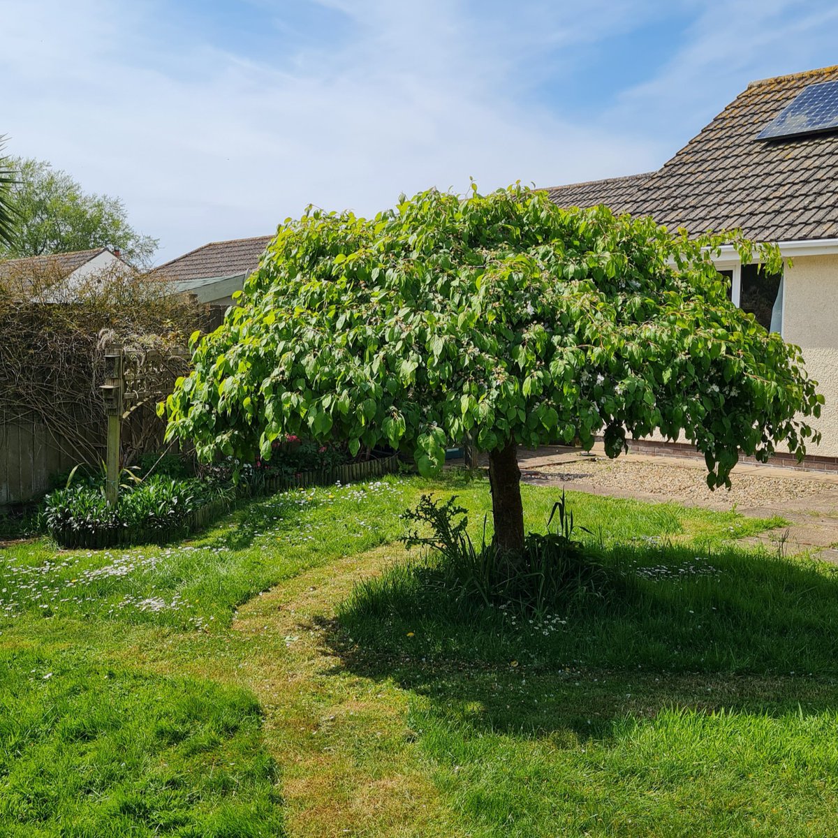 The only view we need on 1 May!😍🌸

How good are these #NoMowMay lawns looking already?

So many people are giving #PowerToTheFlowers for the #NoMowMovement to help boost nature🌼💛

Who's taking part? Show us below or tag us 📷

&amp; don’t forget to join 👉 bit.ly/3UWii6B
