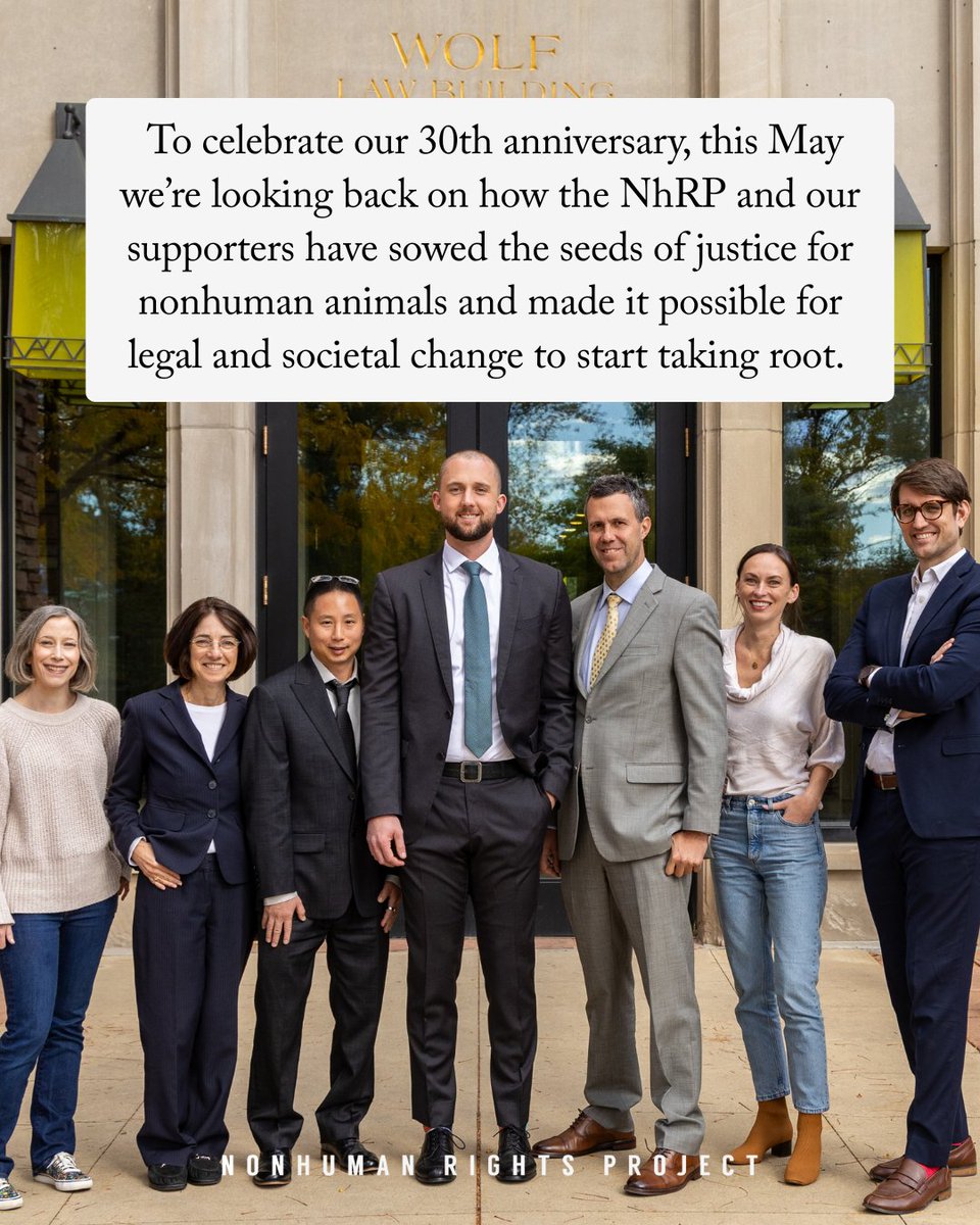 It began with a bold idea: nonhuman animals are entitled to actual, enforceable legal rights—not just compassion. This May celebrate 30 years of the #NhRP! We’re sharing key moments, personal stories, and the powerful impact of your support. Donate today: bit.ly/3YqdDN6
