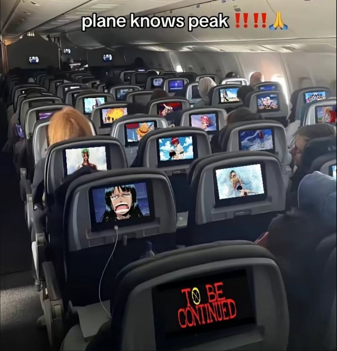 One Piece Daily tweet media