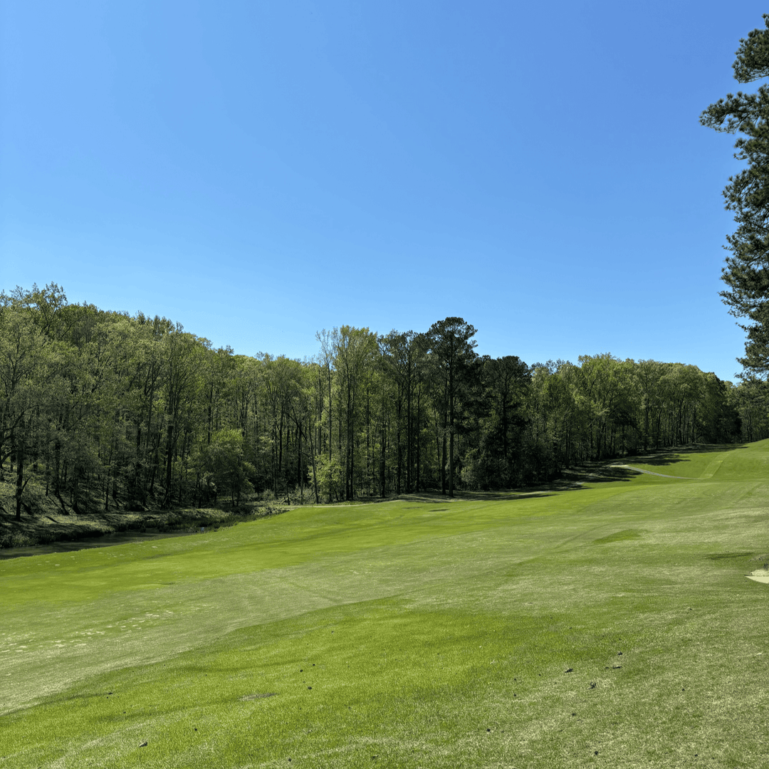 It's the first of the month, and practice makes perfect!🏌️‍ Thanks to the hard work of our maintenance team, our greens and practice green are looking incredible. Come and see for yourself! #UGAGolfCourse