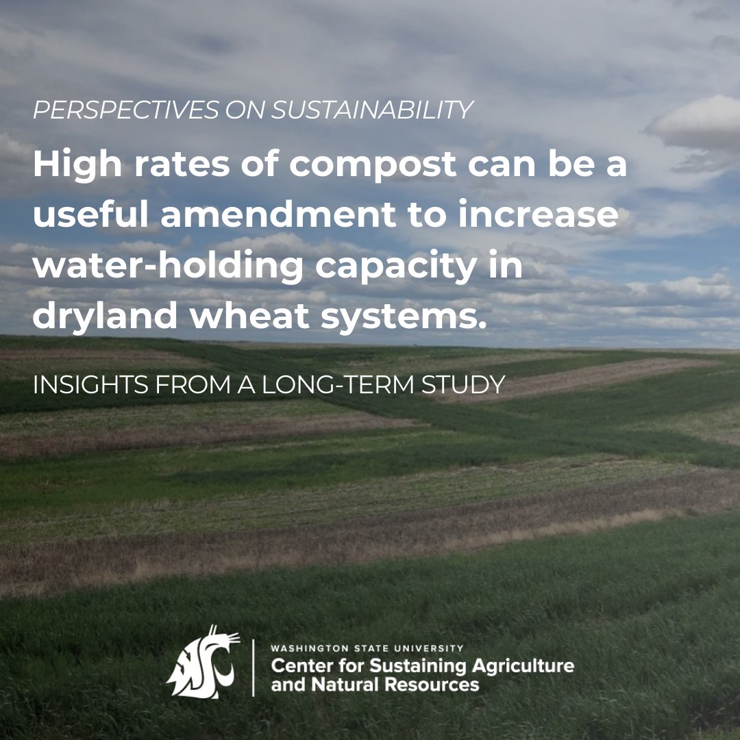 Center for Sustaining Ag & Natural Resources (@wsucsanr) on Twitter photo In dryland systems, water is everything. 💧 Compost helps retain soil moisture and support consistent yields.
📊 See the long-term study on dryland wheat 🌾 from Wilke Farm → csanr.wsu.edu/high-rate-of-c…
<a href="/WSULindStation/">WSU Lind Dryland Research Station</a>
#DigIntoCompost #drylandfarming #soilmoisture #compost In dryland systems, water is everything. 💧 Compost helps retain soil moisture and support consistent yields.
📊 See the long-term study on dryland wheat 🌾 from Wilke Farm → csanr.wsu.edu/high-rate-of-c…
<a href="/WSULindStation/">WSU Lind Dryland Research Station</a>
#DigIntoCompost #drylandfarming #soilmoisture #compost