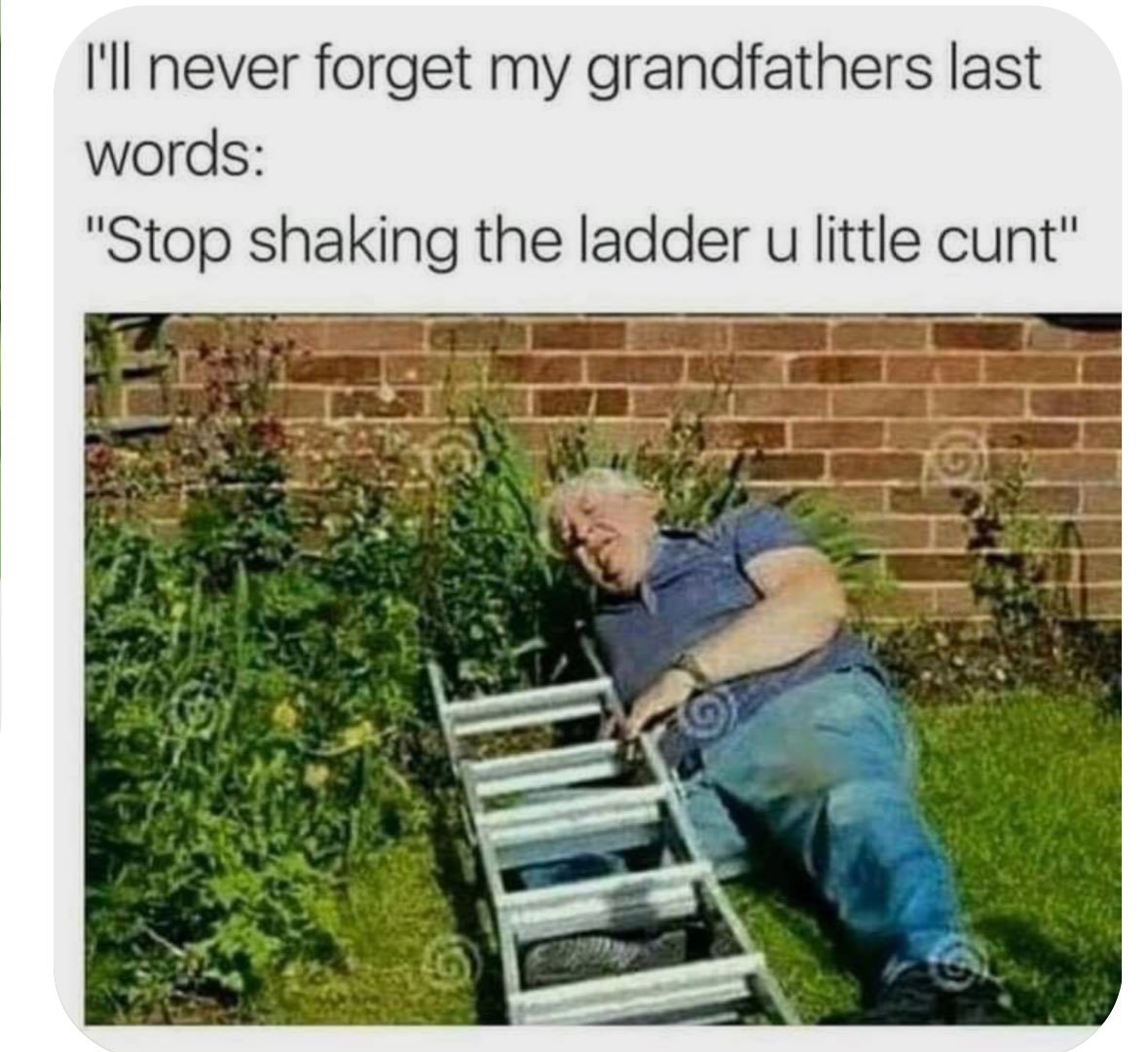 MrsFlowers007's tweet image. 