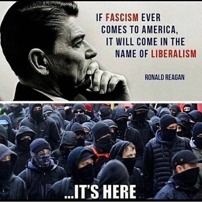 It appears to me there's an Insurrection taking place here in America.  We Elected a President by Majority,  but the Deep State is still running things. Everything President Trump was elected to do,, the Deep State, i.e. Federal Judges, are telling him he Can't do this and Can't
