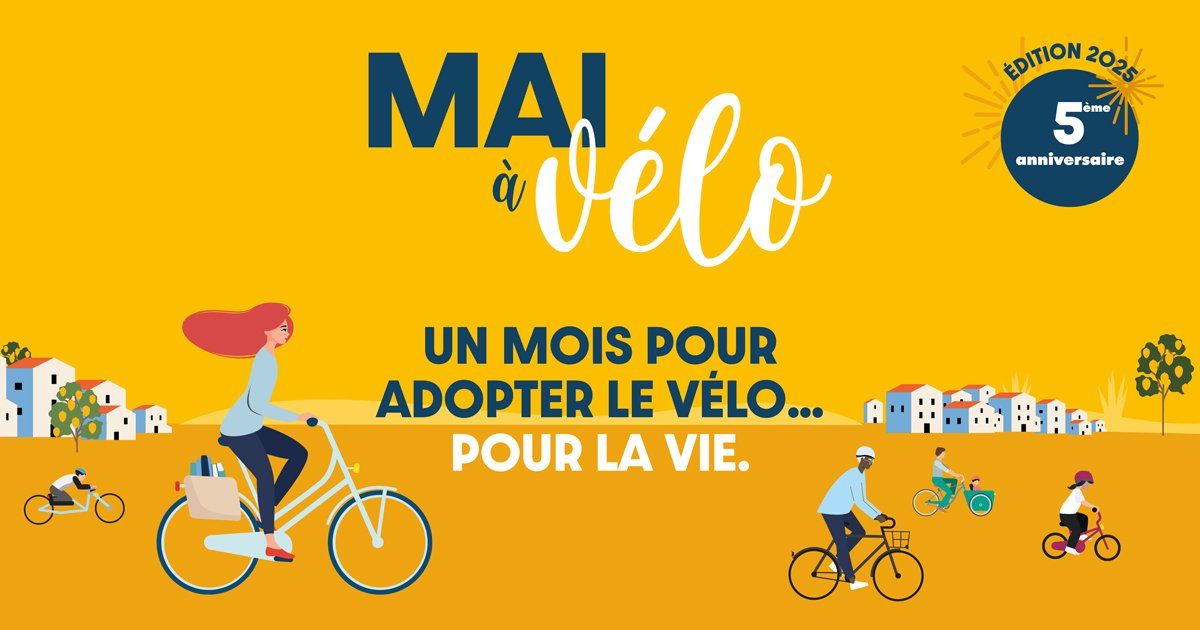 En mai au <a href="/college_jy/">Collège Jacques Yves COUSTEAU</a> c'est : Le challenge "Mai à vélo".
Élèves, parents, personnels, inscrivez-vous vite sur l'application Geovelo et rejoignez la communauté  : CLG J.Y. Cousteau 2025 ! Ensuite, enregistrez vos trajets vélo pour faire progresser notre compteur commun 💪#EPSa