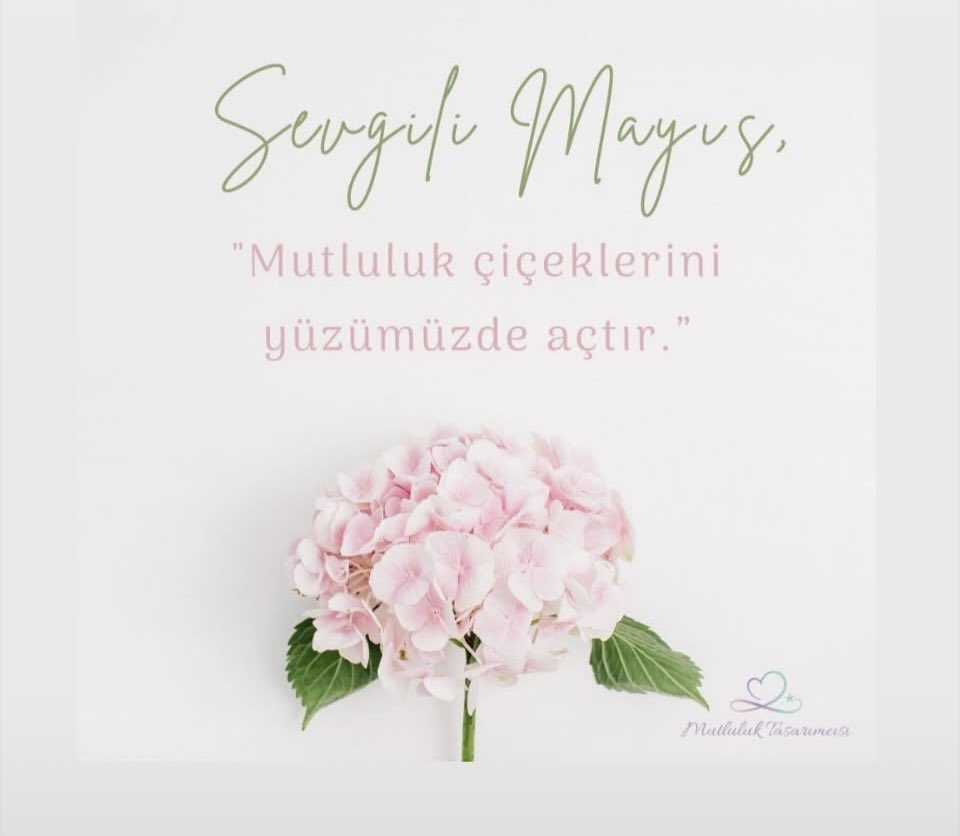 Serap Kepekci (@seka9494) on Twitter photo 