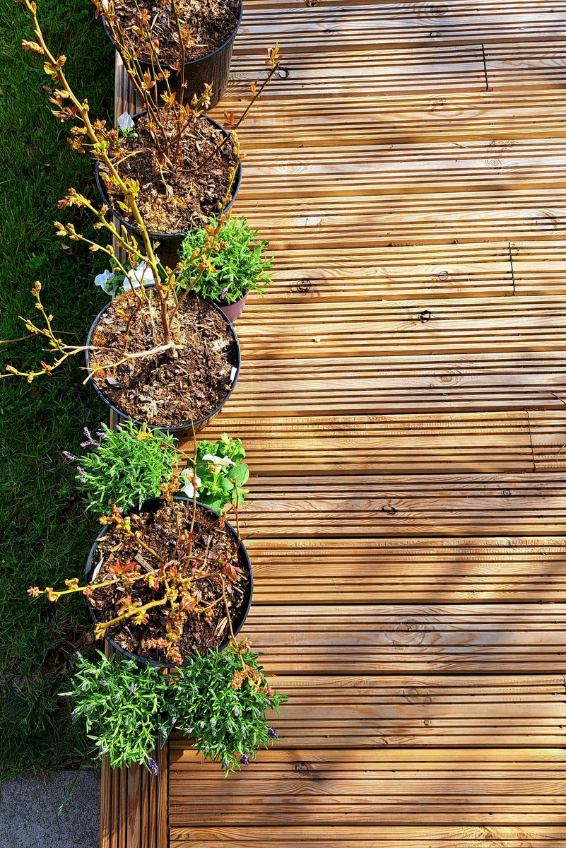 Tell me how old are you without telling how old are you. Brīvdienu izklaides nu ir šādas 😊